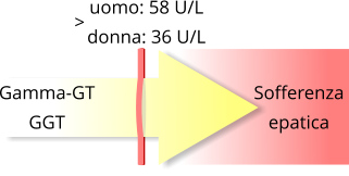 Gamma glutamil transpeptidasi alta cause